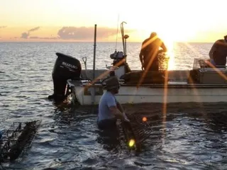 3 Hands Oyster Company