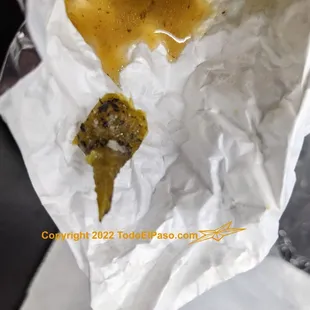 a hot dog wrapped in paper