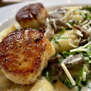 Pan Seared Scallops on White Truffle Infused Potato Gnocchi with Wild Mushroom, Asparagus, &amp; Tarragon