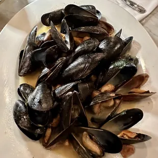 oysters and mussels, shellfish, oysters, food, mussels