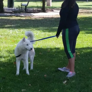Harmoni &amp; Balto enjoying a quick walk before it's time for Good Eats!