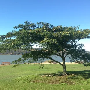 Nice place for a picnic