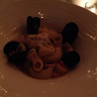Mussels