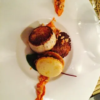 Scallop