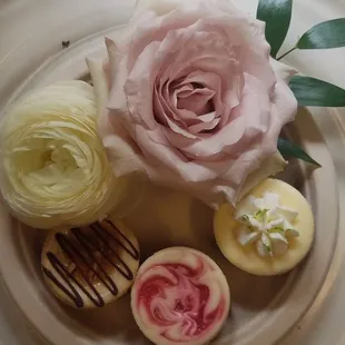 Mini Cheesecake  Left - Turtle, Middle - Raspberry Swirl, Right - Key Lime