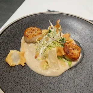 Scallops