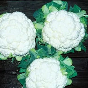 three heads of cauliflower