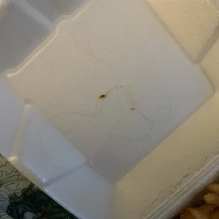 Kids burger with 3 super long hairs... disgusting