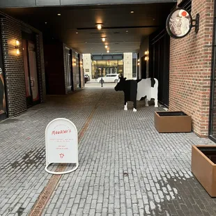 Look for the cow sign in the alley