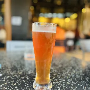 A Prickley Dilemma - Limited Time - Sour Beer