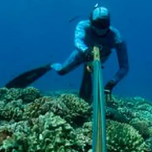 Maui Sporting Goods Spearfishing Specialties