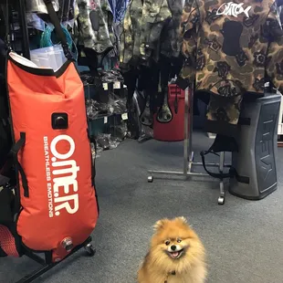 Pet Friendly 07/31/2018