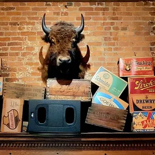 a bull head mounted on a brick wall