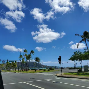 Saturday in the park