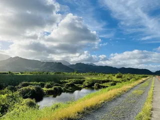 Kawainui Marsh Trail