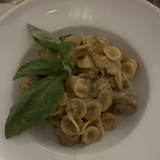 Orecchiette salsiccia