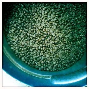 Freshly Roasted Beans