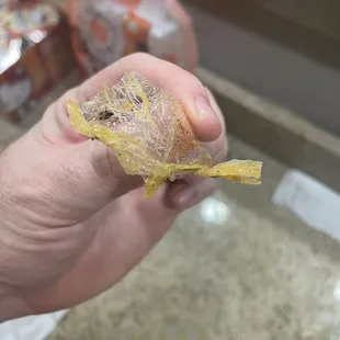 Plastic found in pork