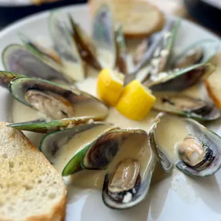 Mussels - 10/10