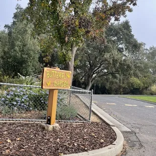 Butterfly garden