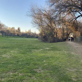 Large field area for sports including volleyball