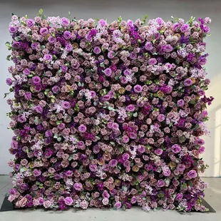 Our beautiful lilac Rose wall