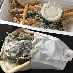 Amazing Gyro Sandwich and Greek Fries