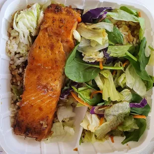 Teriyaki Salmon
