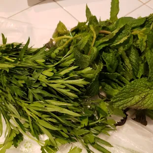 Mint and parsley