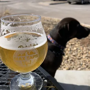 Great beer with my amazing dog Josie.