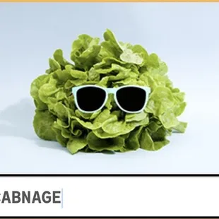 Look how rockin fresh this produce is!