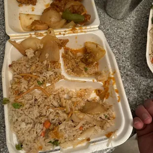 The entire bottom of the tray was covered in rice to take up space.