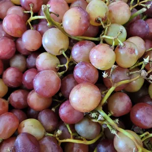 Why I like high sugar &amp; fatty fruits?