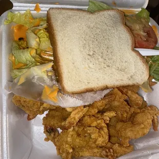 a chicken sandwich and salad in a styrofoam container