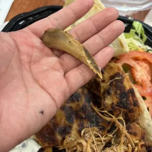 Carnita quesadilla with a sharp piece of bone in it