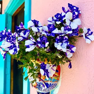 Always gorgeous &amp; vibrant flowers out front!