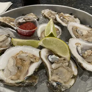 very fresh oysters