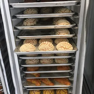 Mexican bread! FRESH