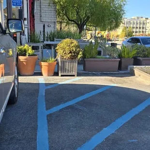 You can park, but good luck getting to the entrance without assistance smh