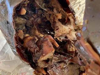 Tastebuds