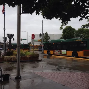  bus on a rainy day