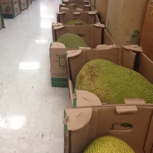 Jackfruit!