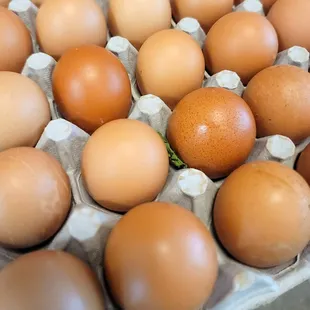 Chicken Balut