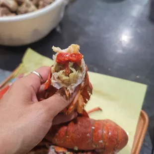Lobster