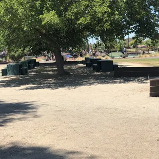 Molded seating under trees.