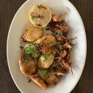 Grilled Calamari
