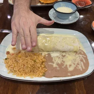 Chicken Burrito