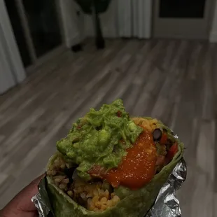 Plant Based Burrito