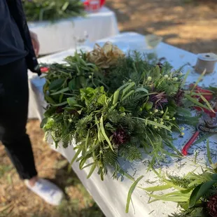 a table with a bunch of plants on it
