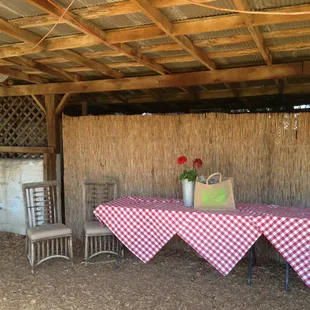 a table with a red and white checkered tablecloth